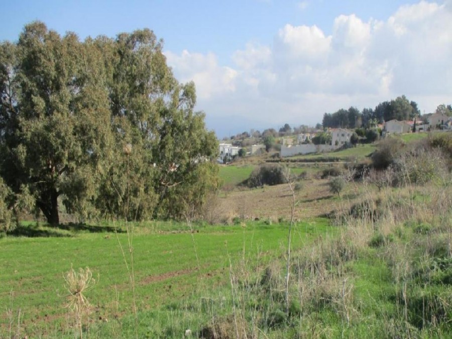 Drouseia, Paphos Touristic Field For Sale | WW25353