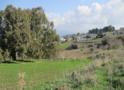 Drouseia, Paphos Touristic Field For Sale | WW25353