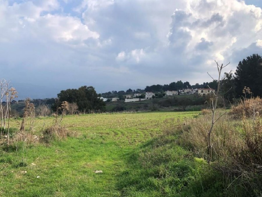 Field - Drouseia, Paphos