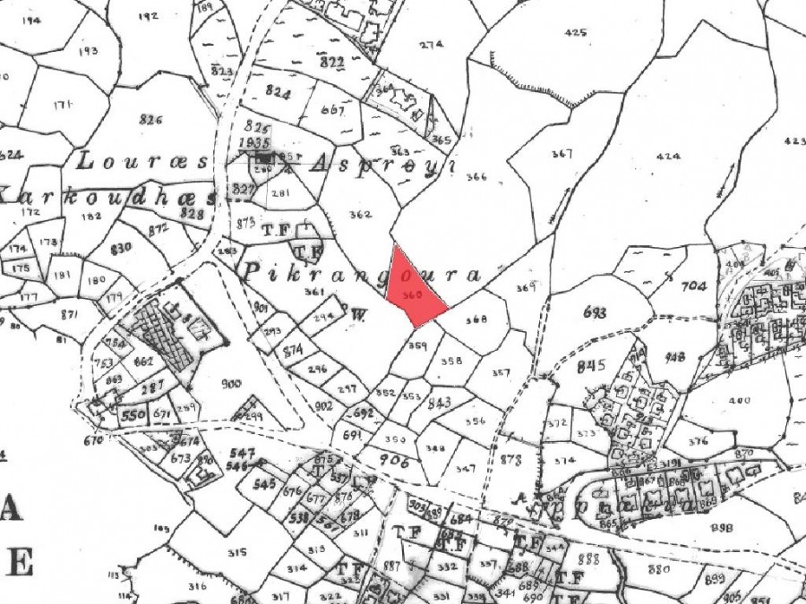 Field - Drouseia, Paphos