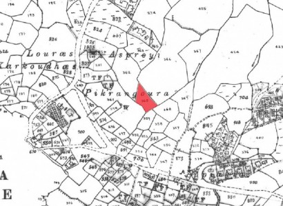 Drouseia, Paphos Touristic Field For Sale | WW25353