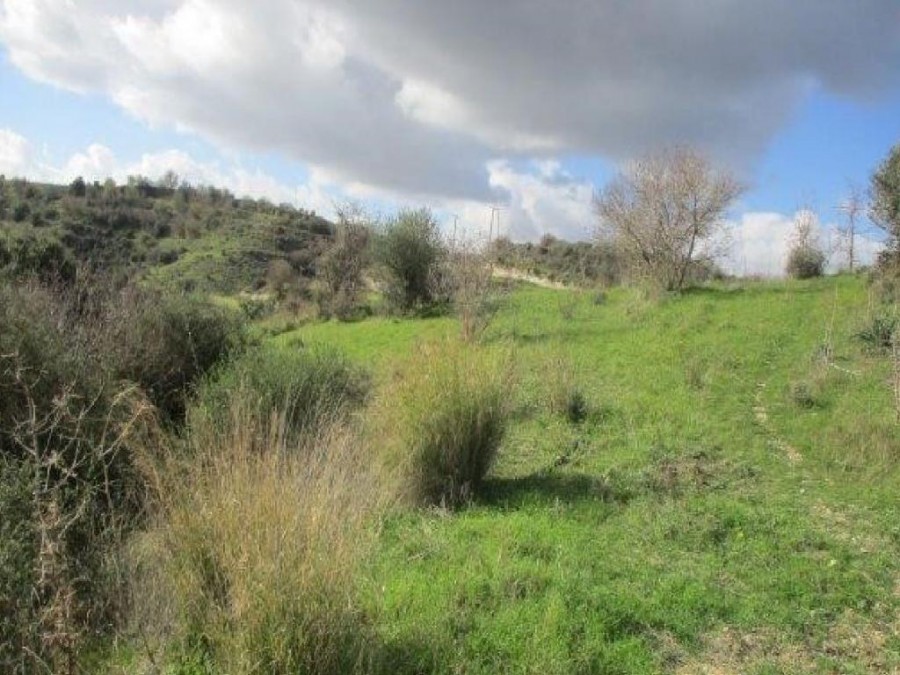 Letymvou, Paphos Agricultural Field For Sale | WW25392