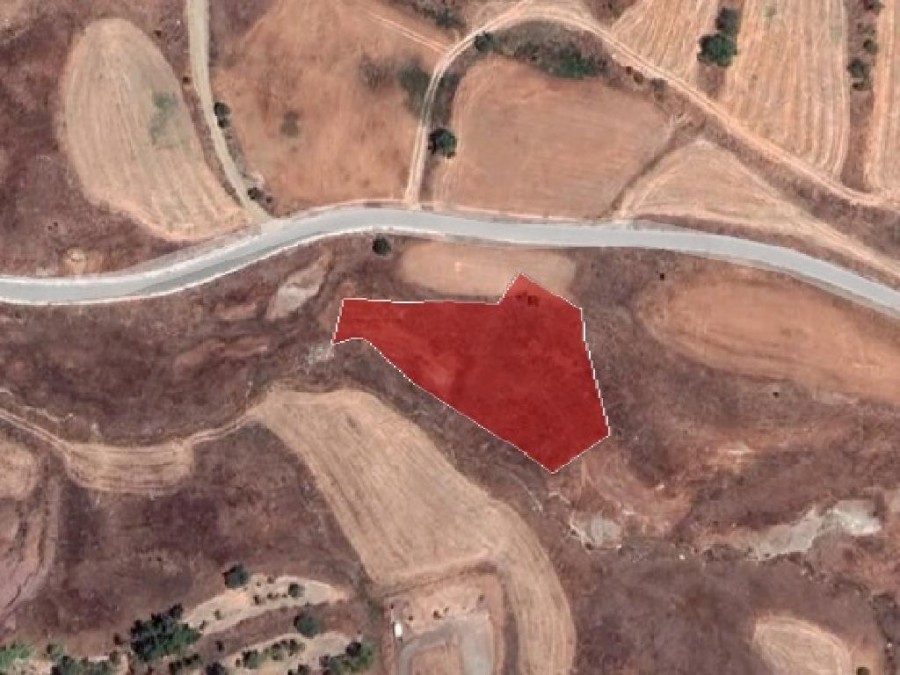 Field - Choletria, Paphos
