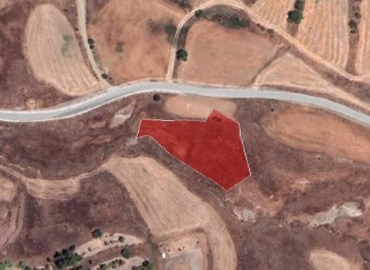 Choletria, Paphos Agricultural Field For Sale | WW25395