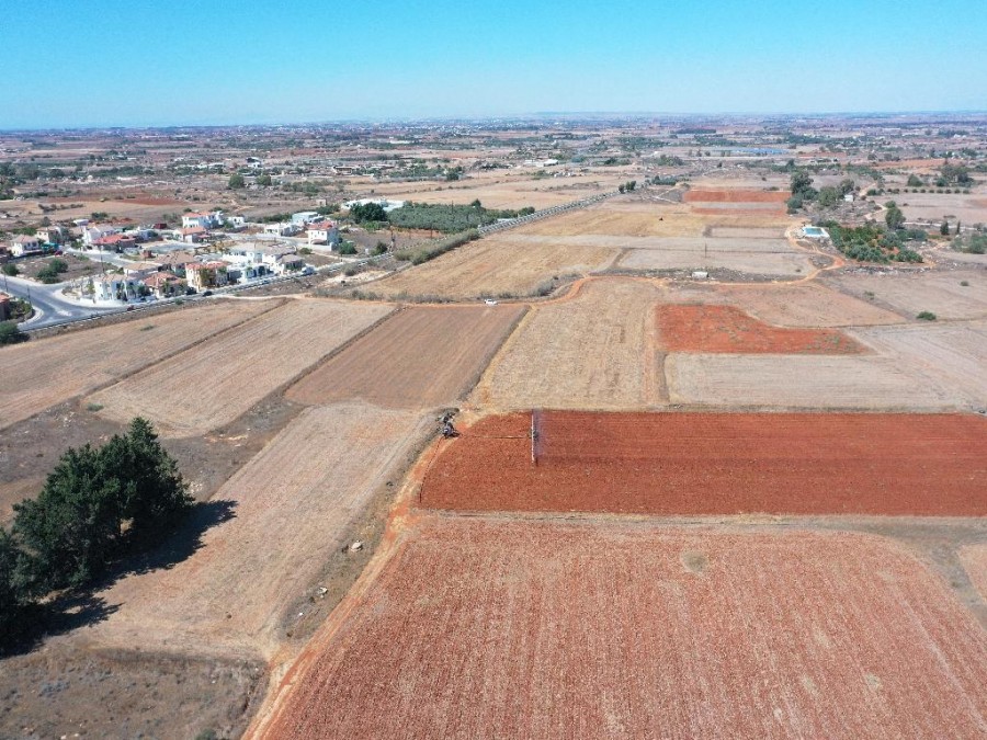 Field - Frenaros, Famagusta