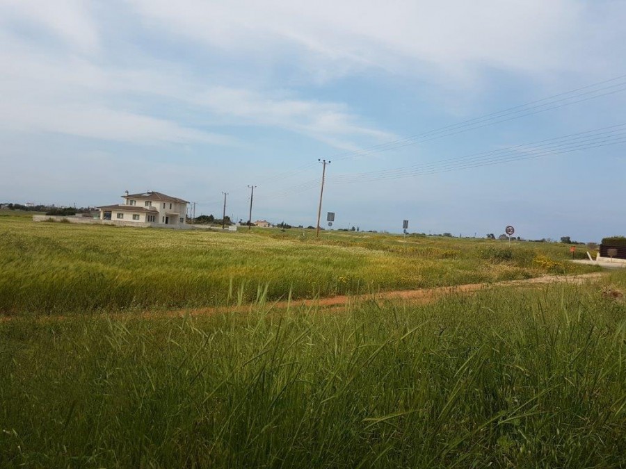 Field - Frenaros, Famagusta