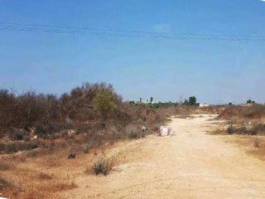 Frenaros, Famagusta Agricultural Field For Sale | WW25415