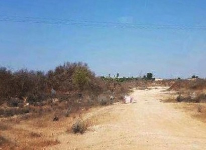 Frenaros, Famagusta Agricultural Field For Sale | WW25415