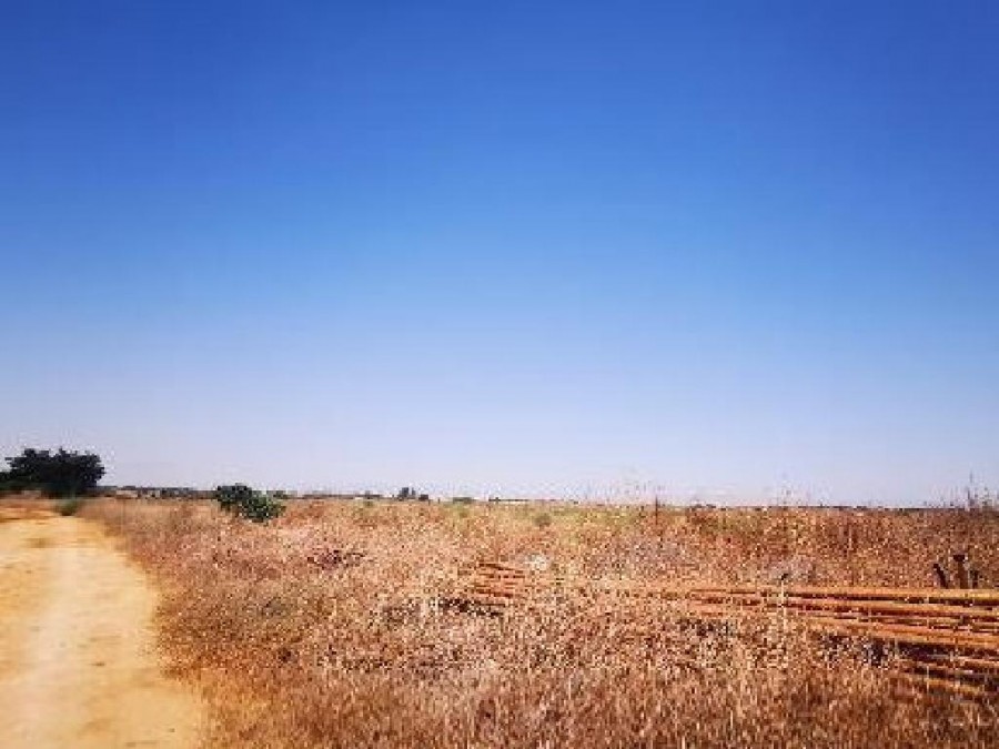 Avgorou, Famagusta Agricultural Field For Sale | WW25427