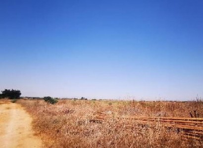 Avgorou, Famagusta Agricultural Field For Sale | WW25427