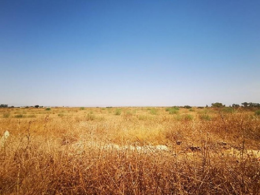 Field - Avgorou, Famagusta