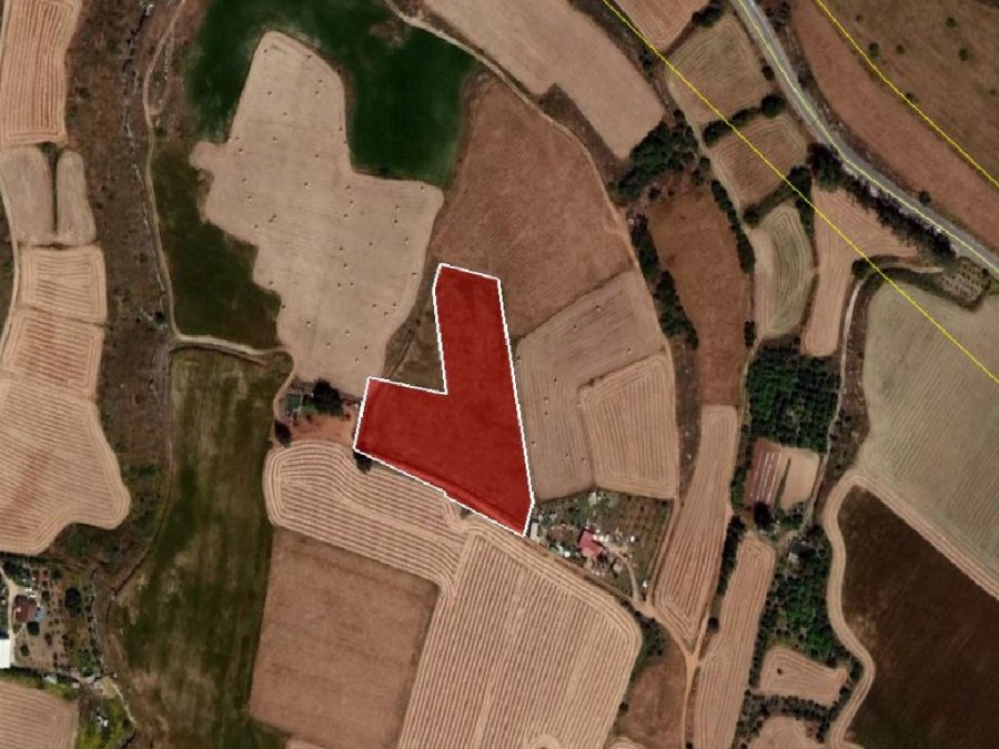 Field - Avgorou, Famagusta