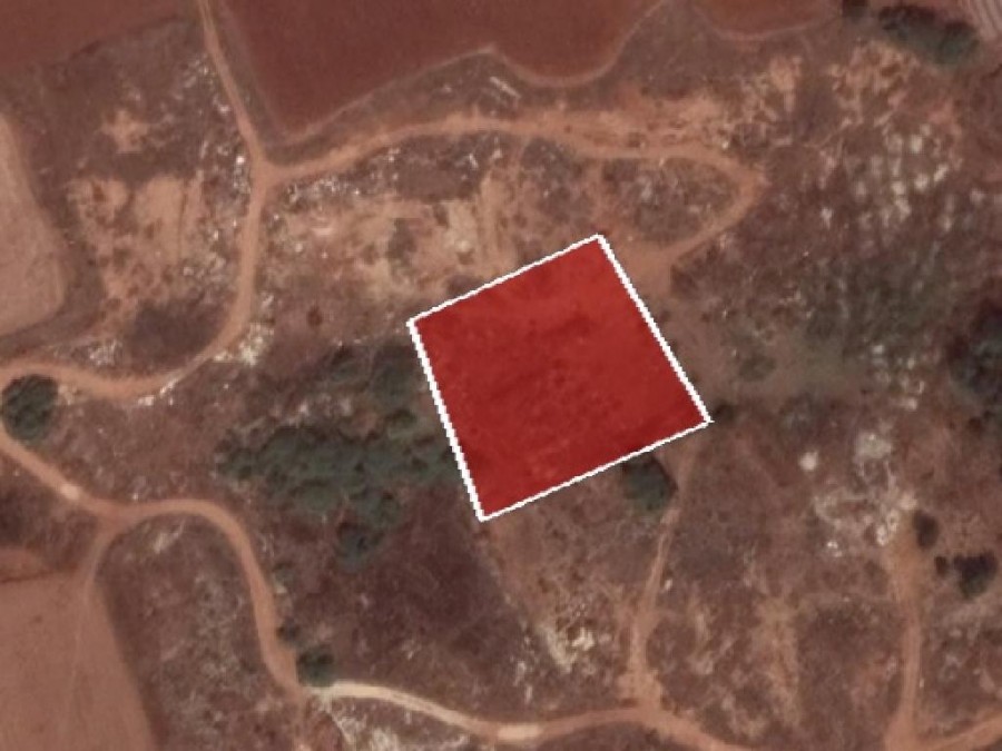 Field - Sotira, Famagusta