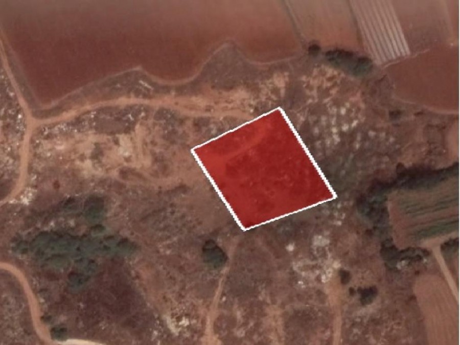 Field - Sotira, Famagusta