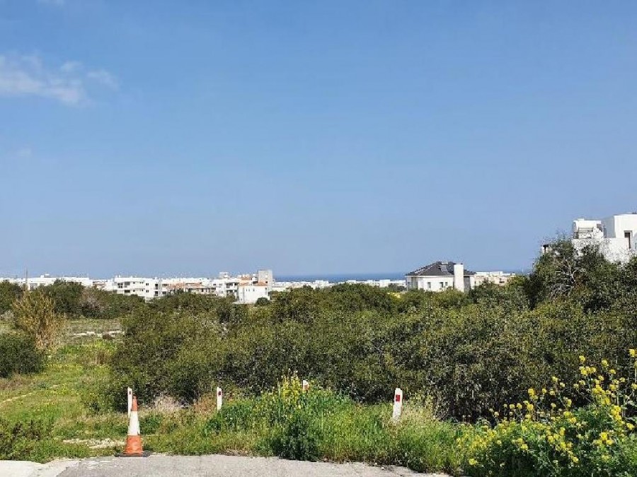 Field - Paralimni, Famagusta