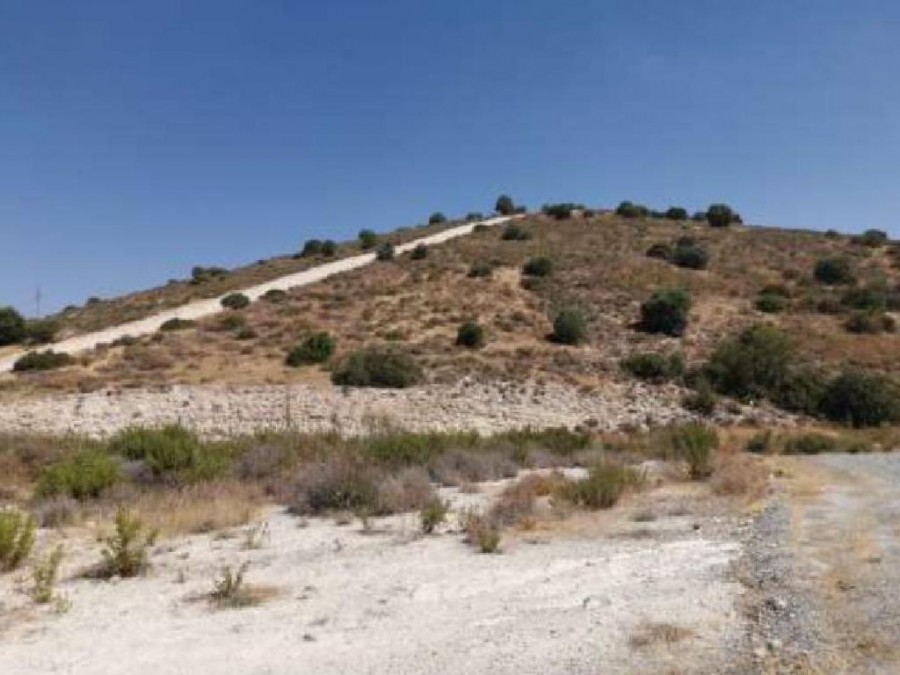 Alethriko, Larnaca Agricultural Field For Sale | WW25483