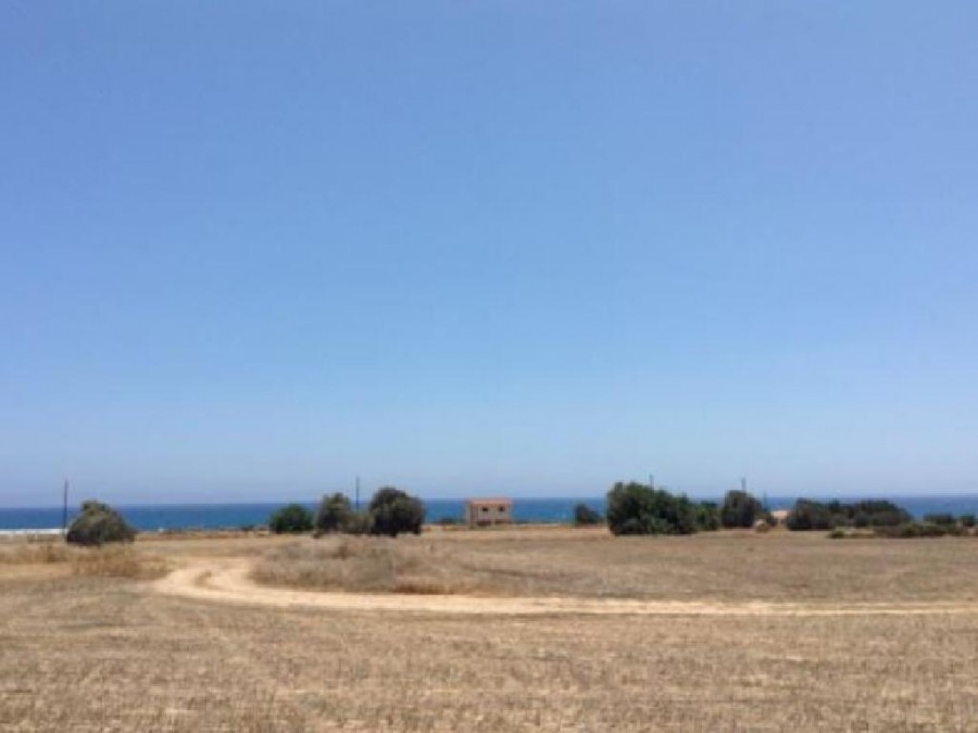 Ayios Theodoros, Larnaca Touristic Field For Sale | WW25526