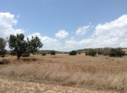 Ayios Theodoros, Larnaca Touristic Field For Sale | WW25526