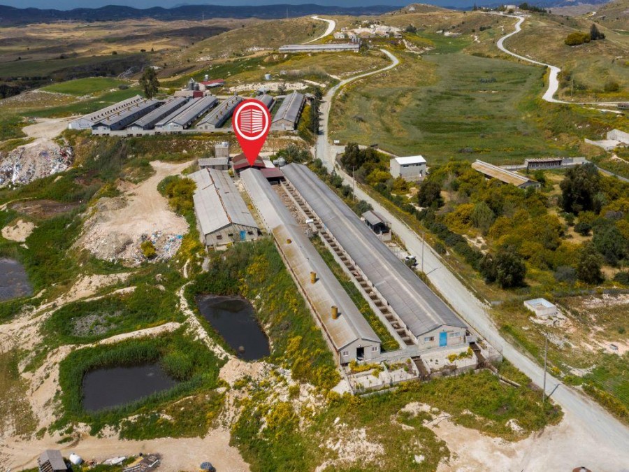 Farm - Aradippou, Larnaca