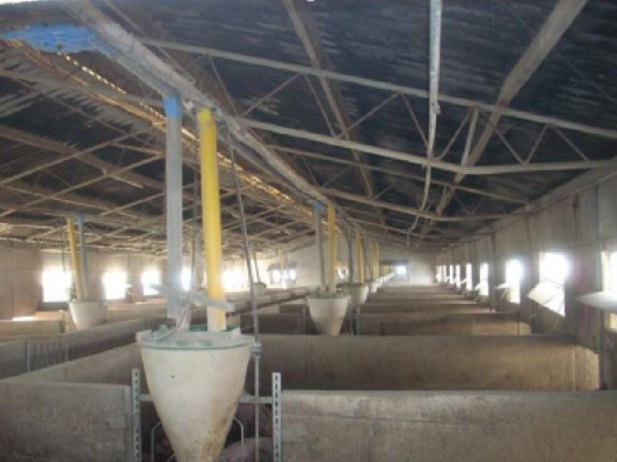 Farm - Aradippou, Larnaca