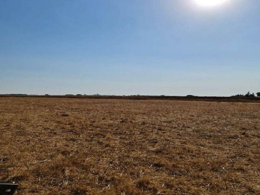 Frenaros, Famagusta Agricultural Field For Sale | WW25603