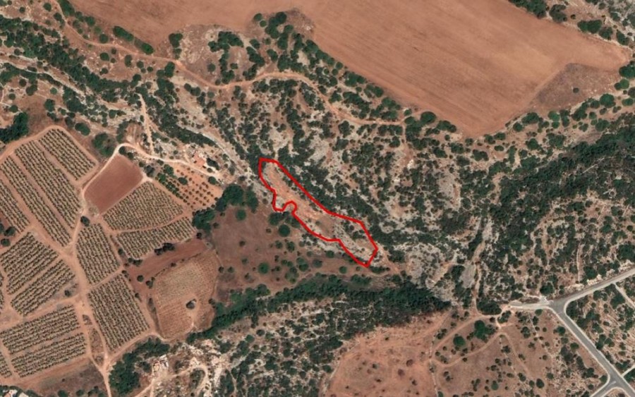 Peyia, Paphos Agricultural Field For Sale | WW25658