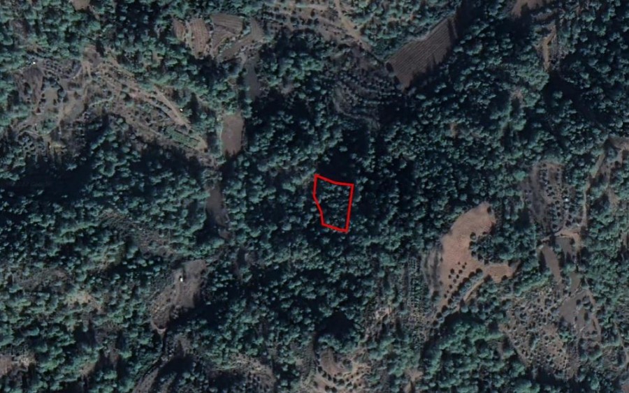 Panagia, Paphos Agricultural Field For Sale | WW25659