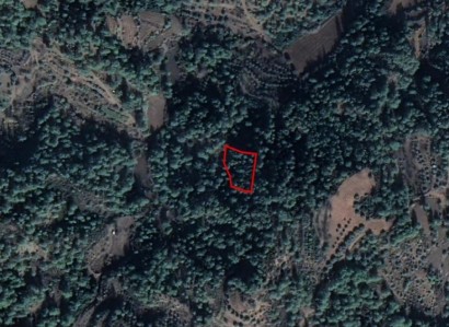 Panagia, Paphos Agricultural Field For Sale | WW25659