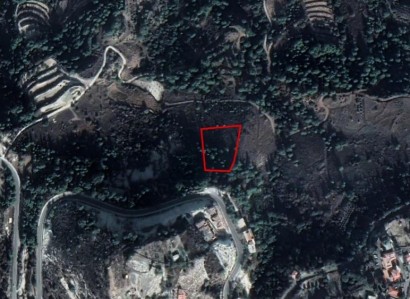 Panagia, Paphos Agricultural Field For Sale | WW25661