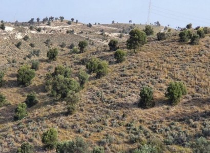 Agia Anna, Larnaca Agricultural Field For Sale | WW25731