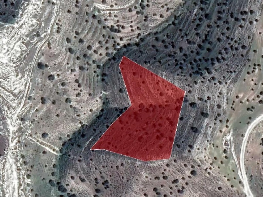 Field - Agia Anna, Larnaca