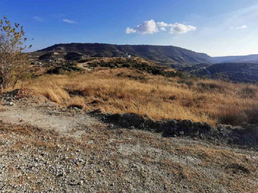 Ayios Amvrosios Agricultural Field For Sale | WW25788