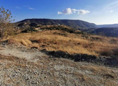 Ayios Amvrosios Agricultural Field For Sale | WW25788
