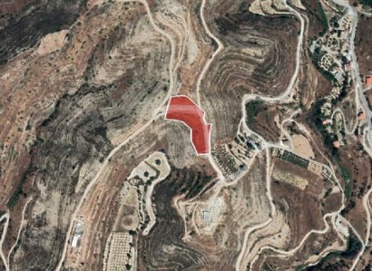 Ayios Amvrosios Agricultural Field For Sale | WW25788