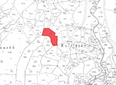 Ayios Amvrosios Agricultural Field For Sale | WW25788