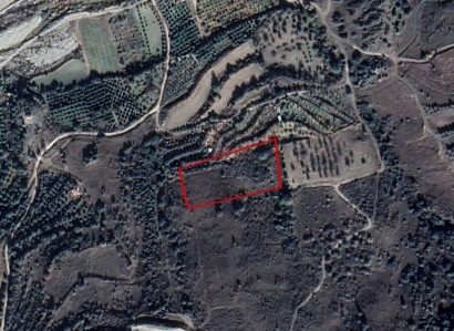 Prastio, Paphos Agricultural Field For Sale | WW25811