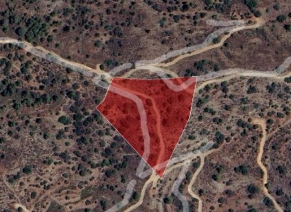 Kalo Chorio, Limassol Agricultural Field For Sale | WW25842