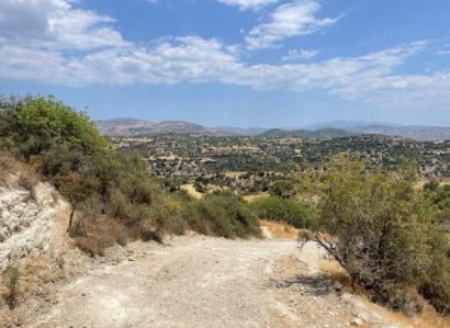 Eledio, Paphos Agricultural Field For Sale | WW25849