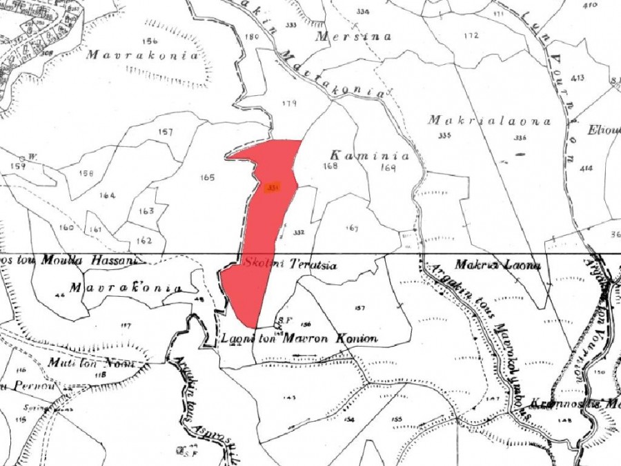 Field - Eledio, Paphos