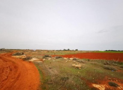 Sotira, Famagusta Agricultural Field For Sale | WW25889