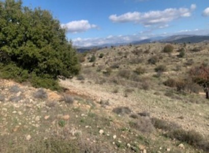 Nata, Paphos Agricultural Field For Sale | WW25963