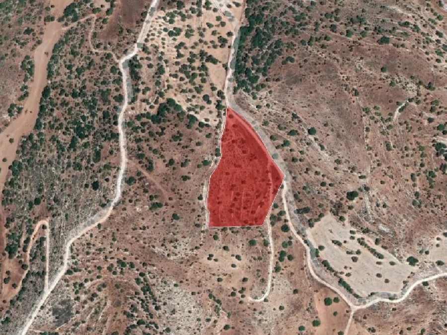 Field - Nata, Paphos