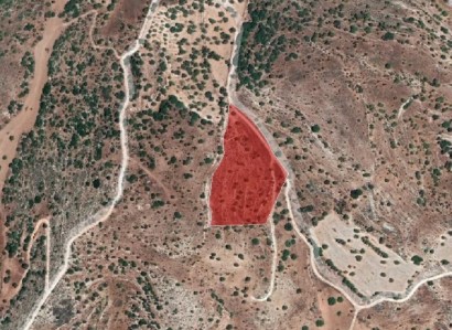 Nata, Paphos Agricultural Field For Sale | WW25963