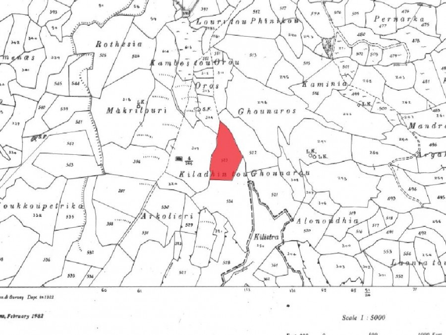 Field - Nata, Paphos