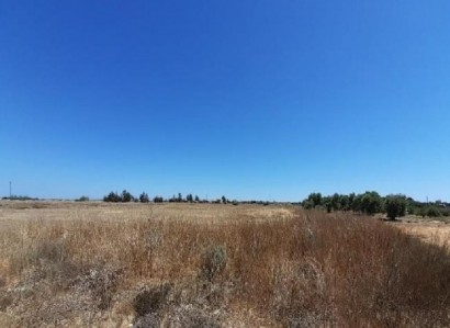 Frenaros, Famagusta Agricultural Field For Sale | WW25977