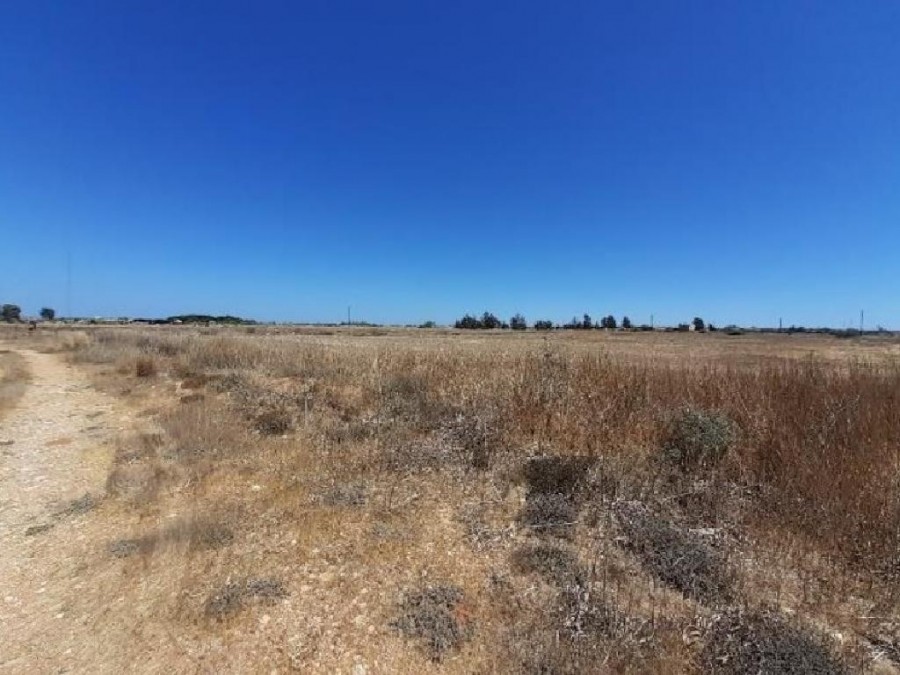 Field - Frenaros, Famagusta