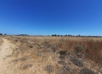 Frenaros, Famagusta Agricultural Field For Sale | WW25977