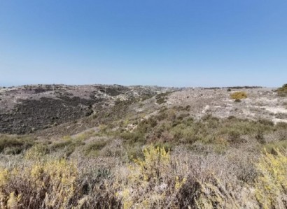 Tsada, Paphos Agricultural Field For Sale | WW26012