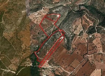 Neo Chorio, Paphos Agricultural Field For Sale | WW26053