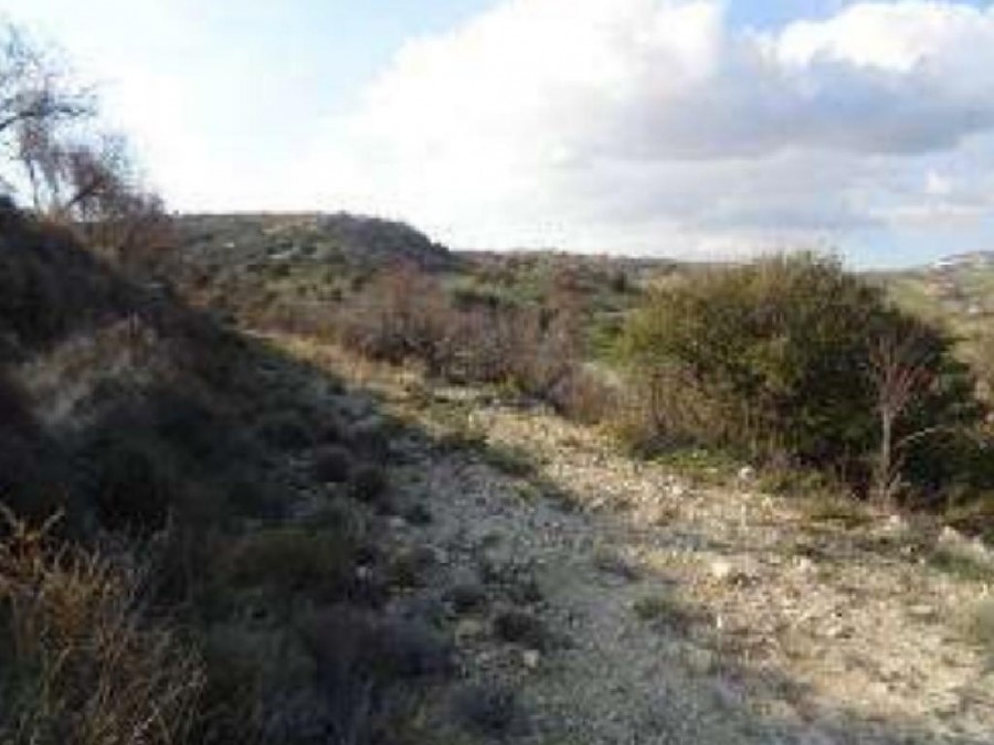 Nata, Paphos Agricultural Field For Sale | WW26143